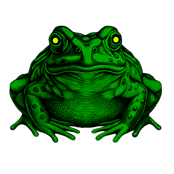 Big green frog