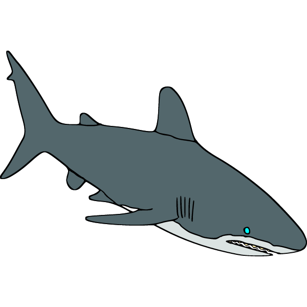Shark 6-1717816440