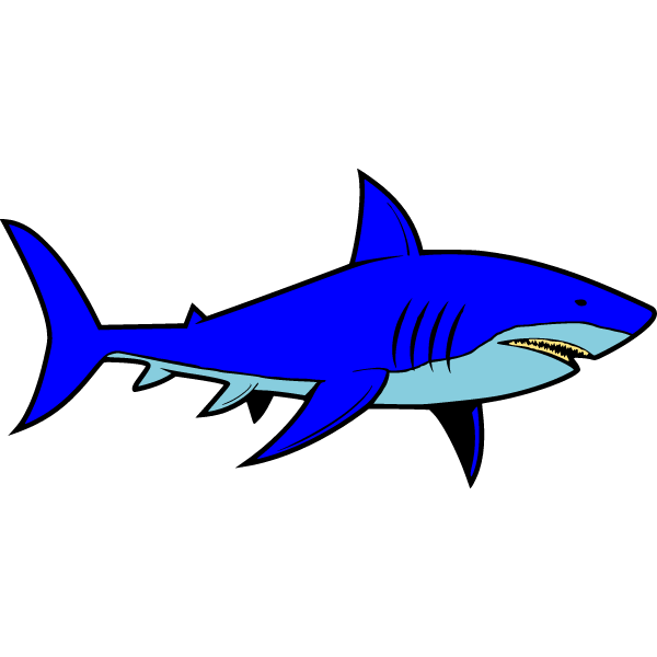 Shark 7-1717816653