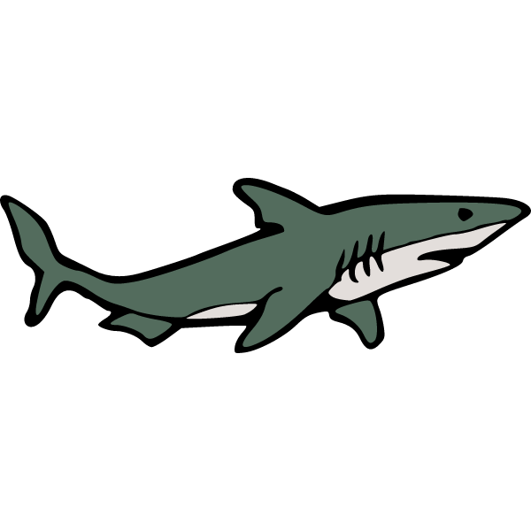 Shark 8-1717816801