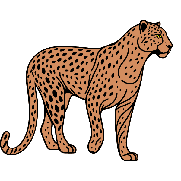 The leopard estimates the distance to possible prey