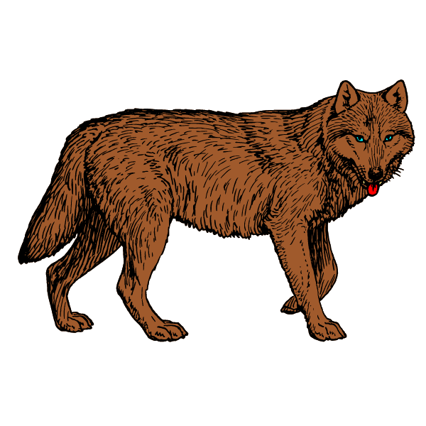 Wolf 1