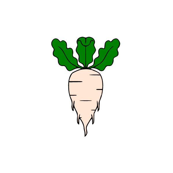 Sugar beet