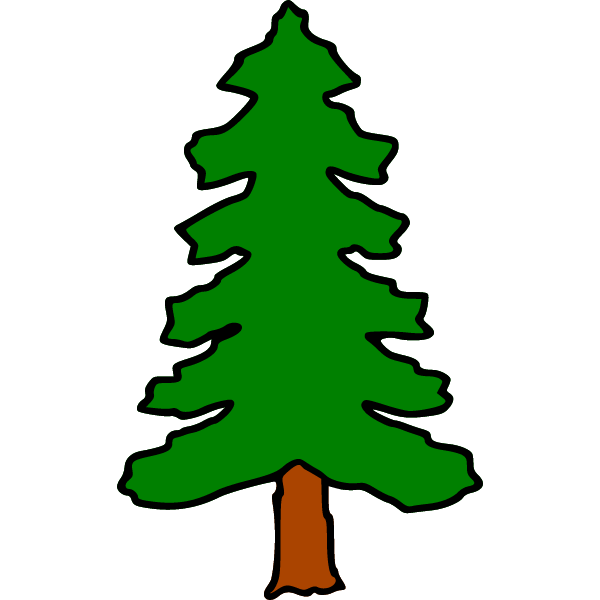 Pine 6