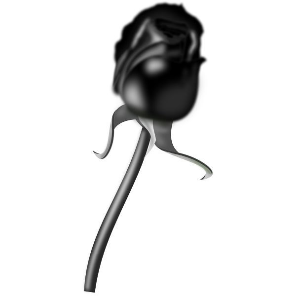 Black rose image Royalty Free Stock SVG Vector