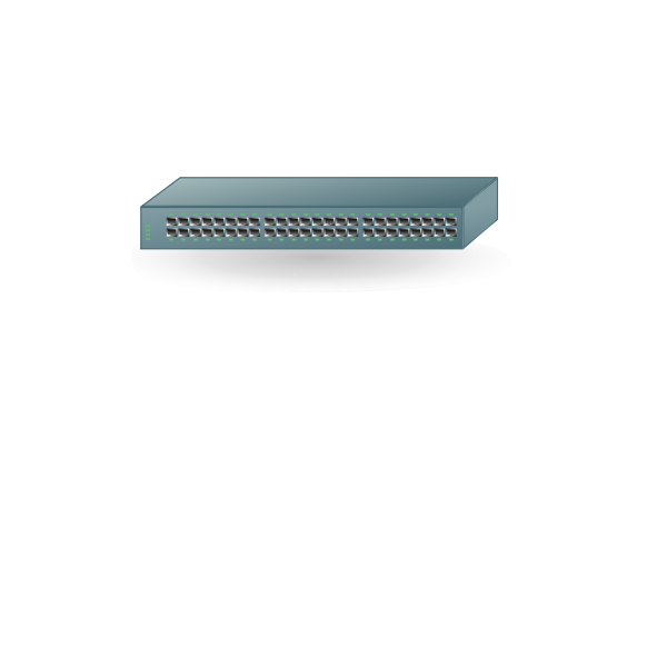 48-Port switch vector drawing