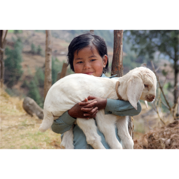 Girl carrying a lamb