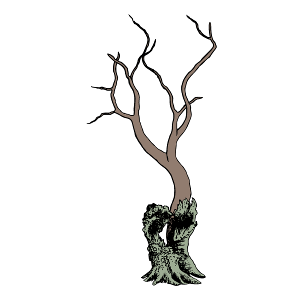 A tree that grew from an old stump