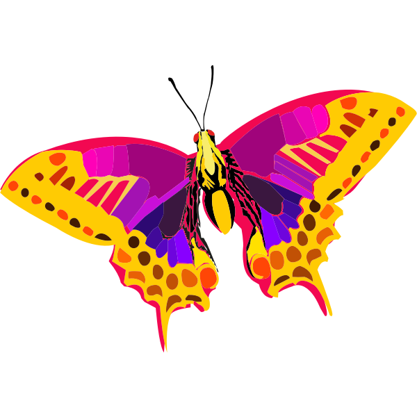 Download Abstract colorful butterfly | Free SVG