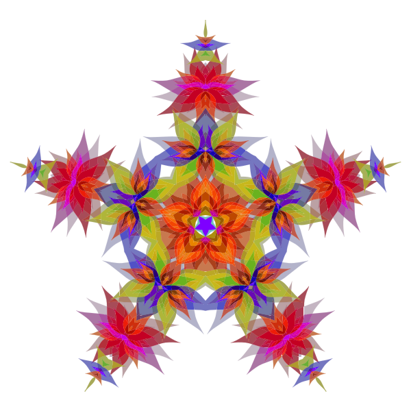 Abstract Flowers Star