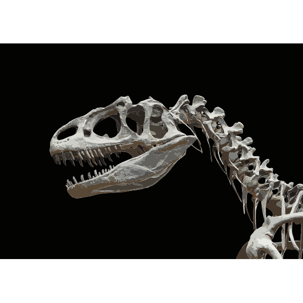 Download Dinosaur skeleton | Free SVG