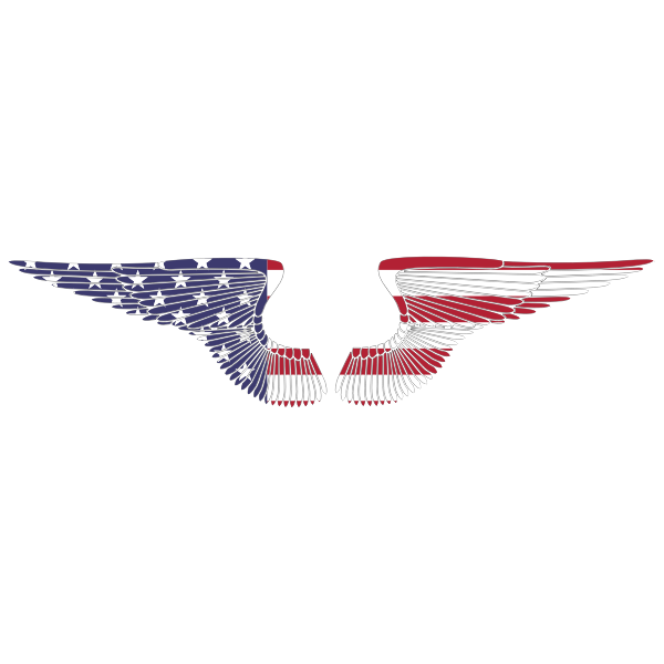 American Hand Drawn Wings With Stroke