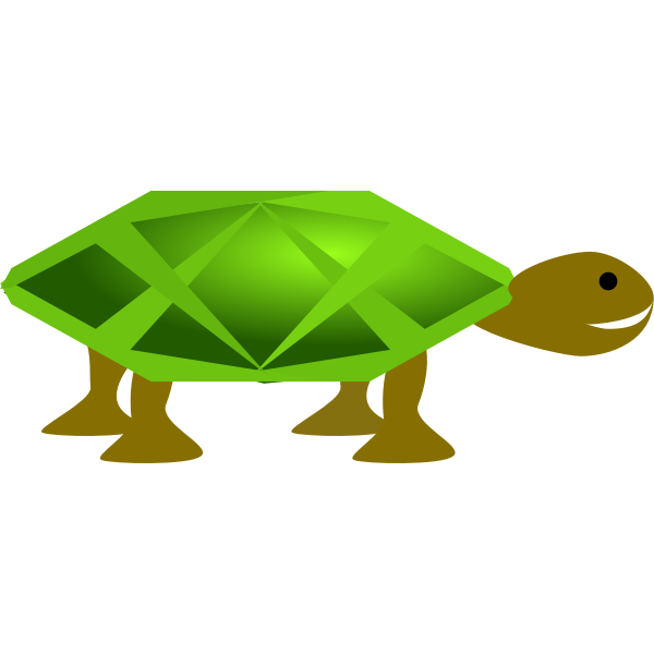 Turtle vector image