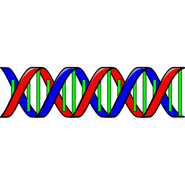 DNA-1632136944