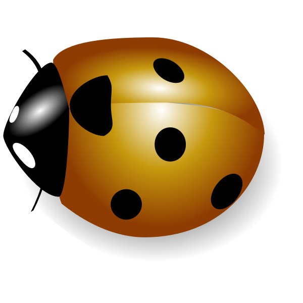Ladybug image
