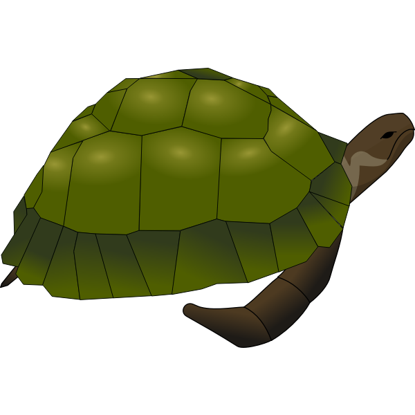 Clip art of large old turtle in green and brown