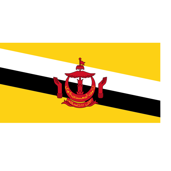 Flag of Brunei Darussalam vector image