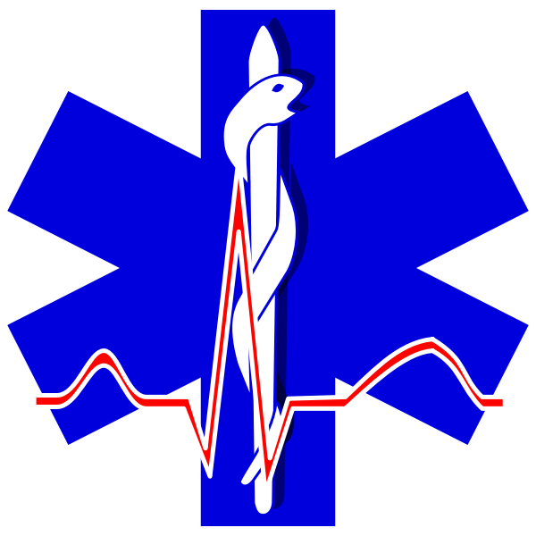Vector of paramedic cross