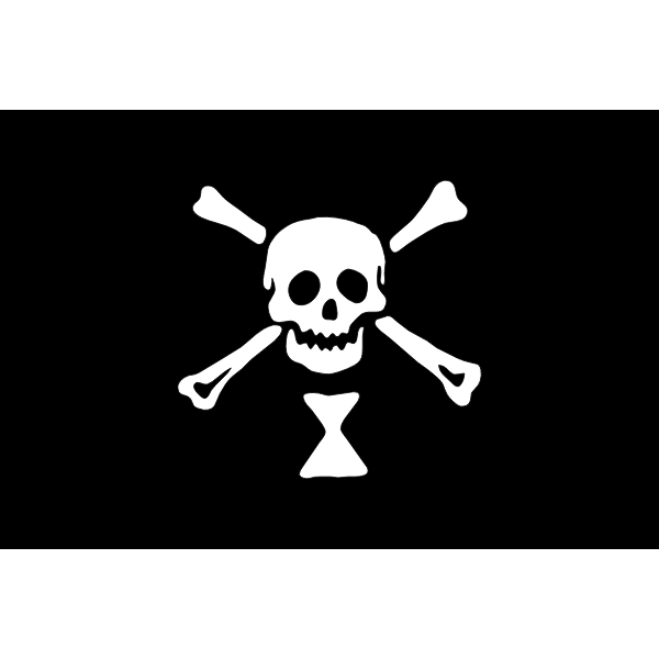 Pirate flag skull and bones vector image