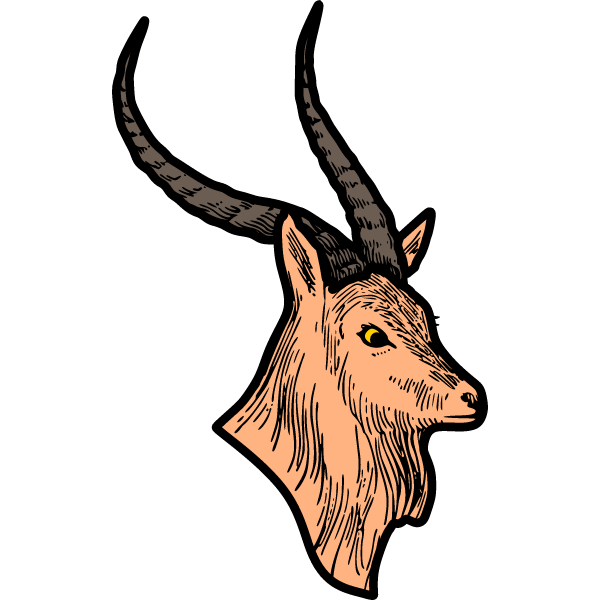 Antelope