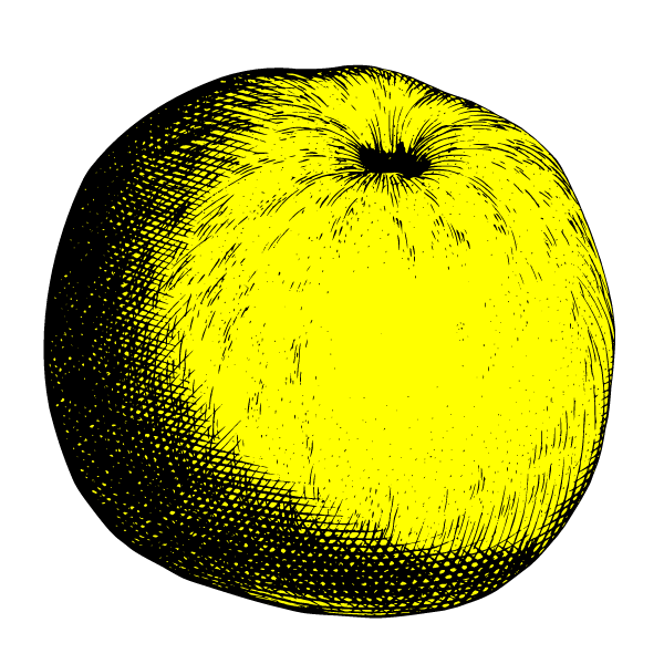 Apple XII