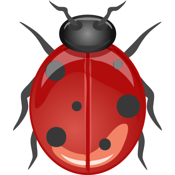 ladybird clipart no spots on ladybugs