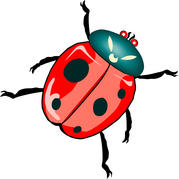 Ladybug illustration
