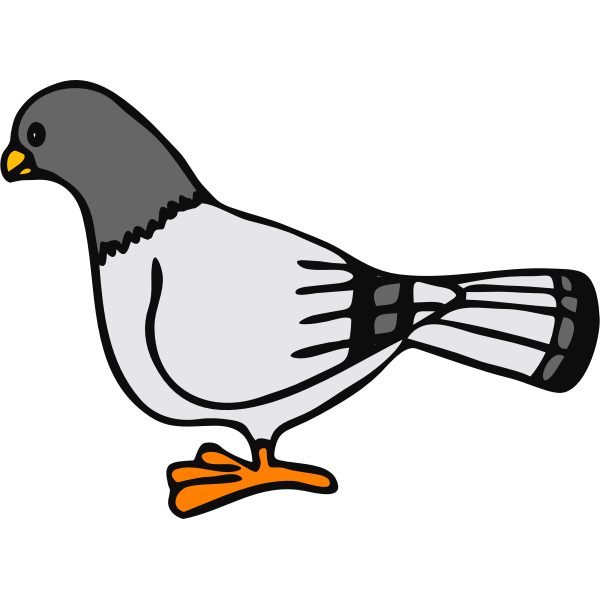 Vector graphics of dove standing