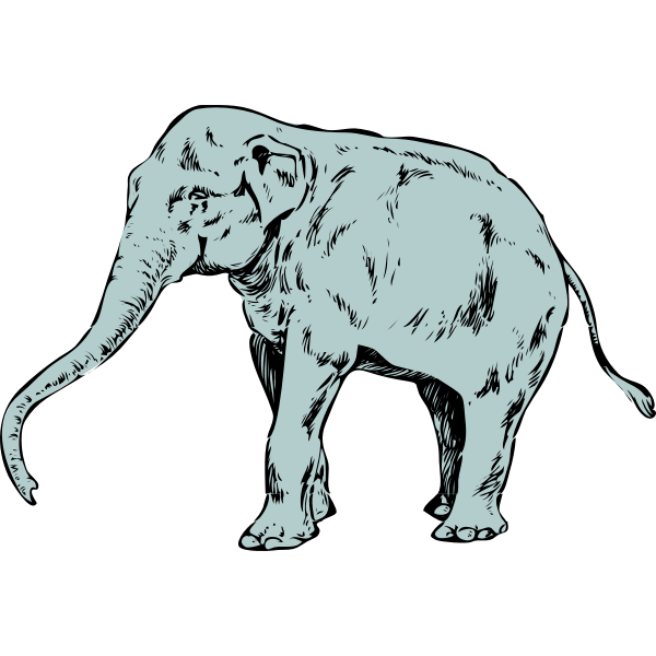 Vector clip art of blue young elephant
