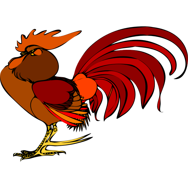 Color illustration of a rooster