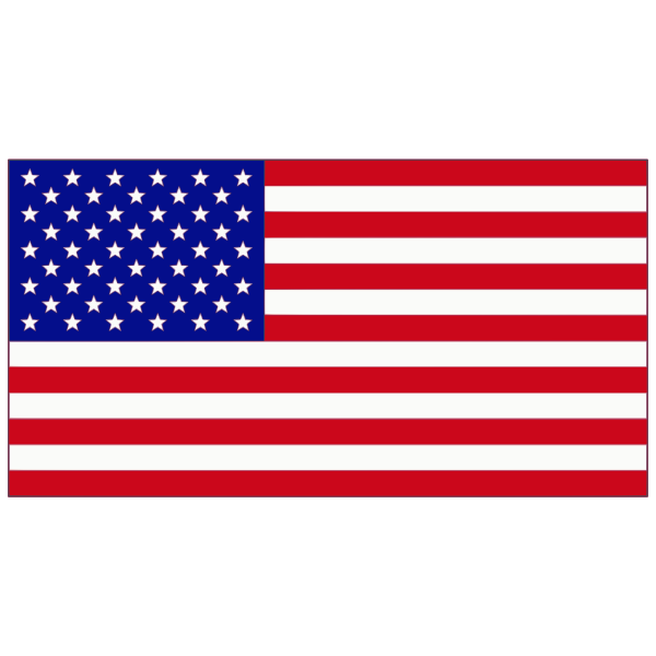 Descompostura alegría simplemente Bandera USA | Free SVG