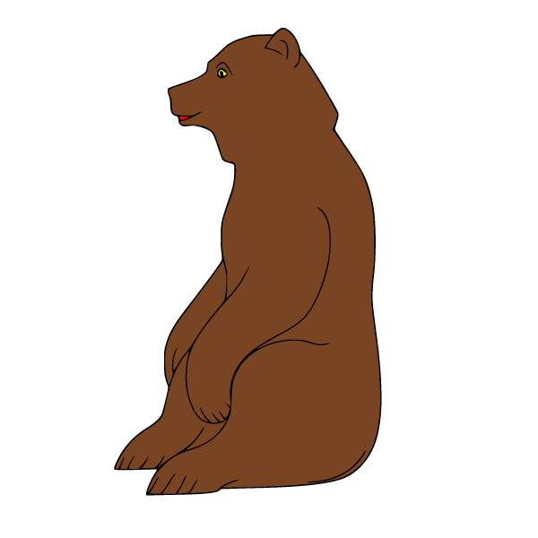 Bear 15