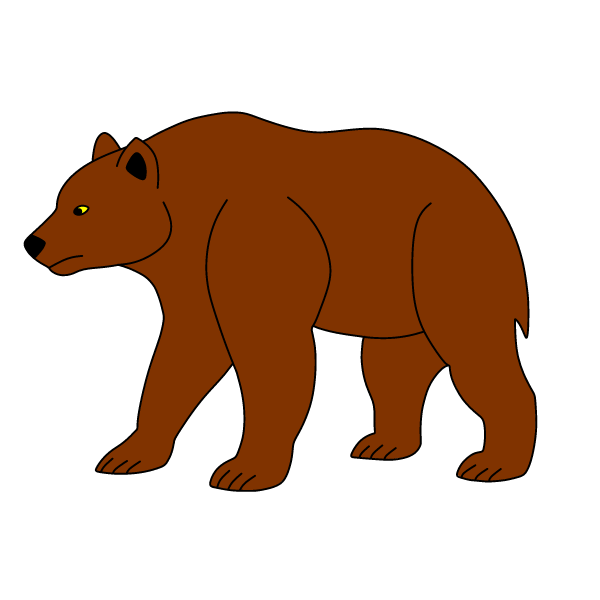 Bear 20