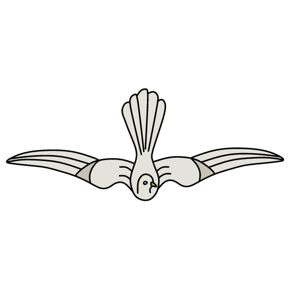 Bird 21