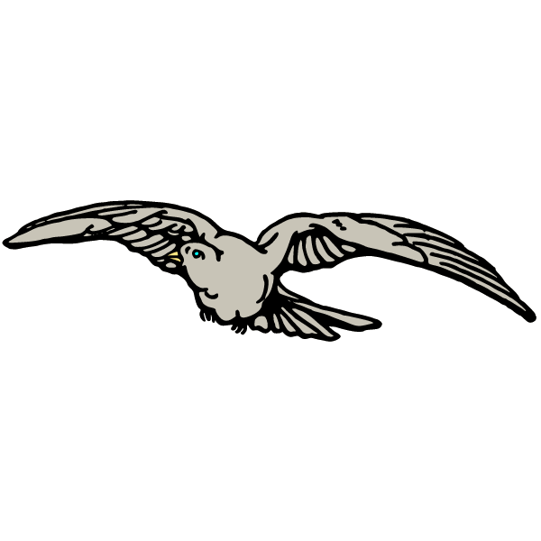 Bird 28