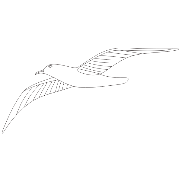 Bird 33