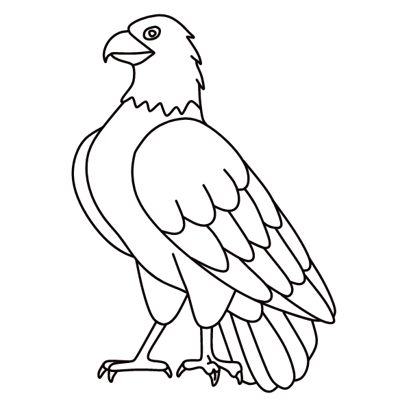 Bird 34
