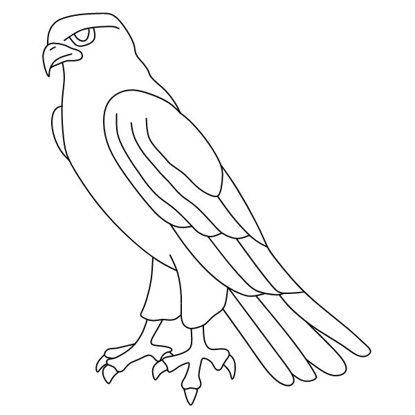 Bird 35