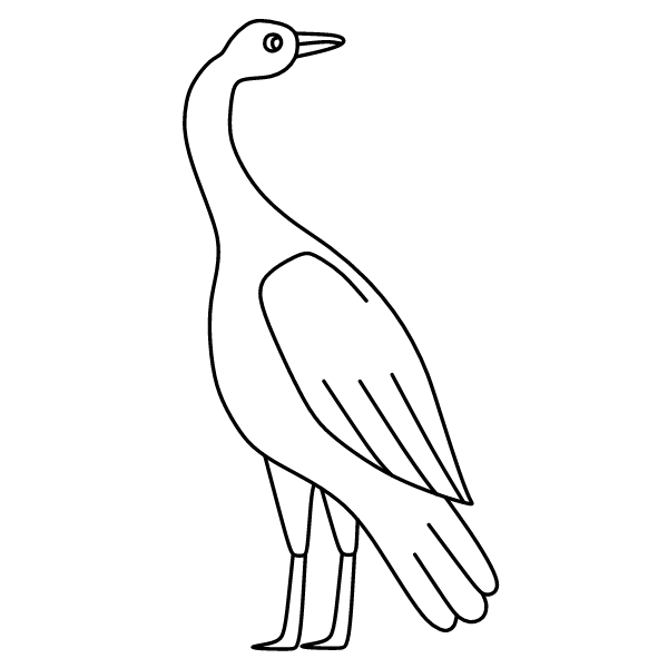 Bird 47