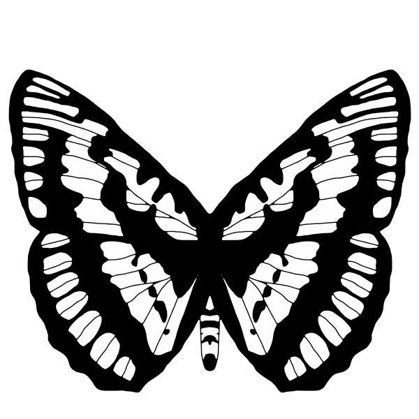 Black And White Butterfly 2 | Free SVG