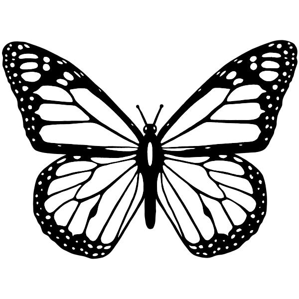 insect clip art black and white