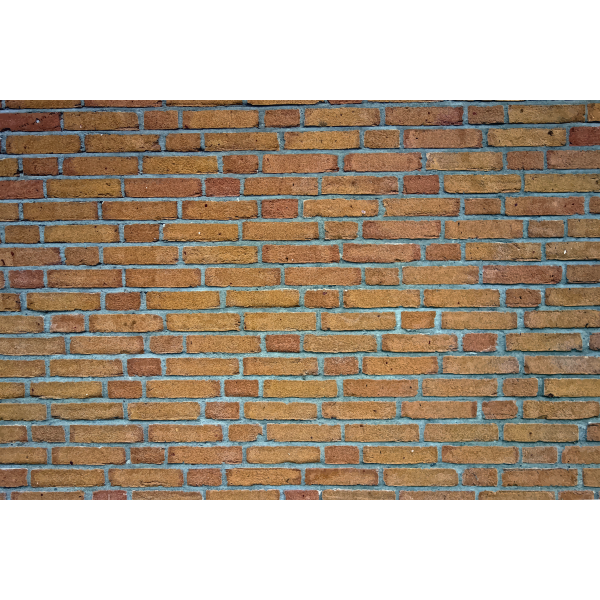 Brick wall vector image