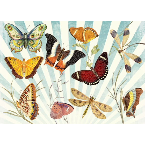 Download Butterflies And Dragonflies | Free SVG