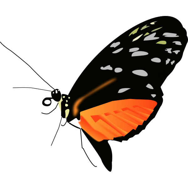 Butterfly light | Free SVG