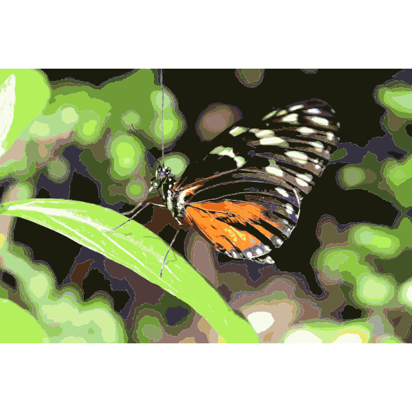 Butterfly on Leaves 2015061235