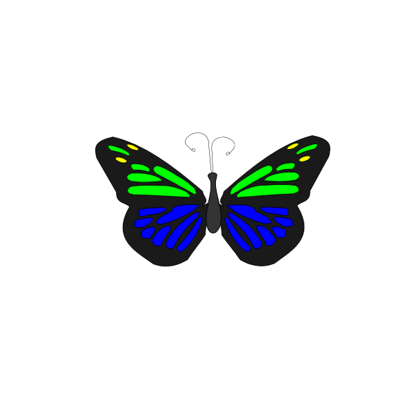 Butterfly animation | Free SVG