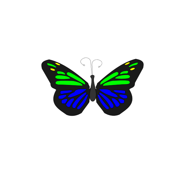 Download Butterfly Animation Free Svg