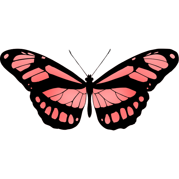 Butterfly15Red