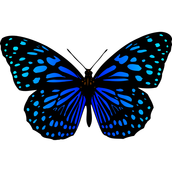 Download Free 4228+ SVG Svg Images Of Butterflies Crafter Files