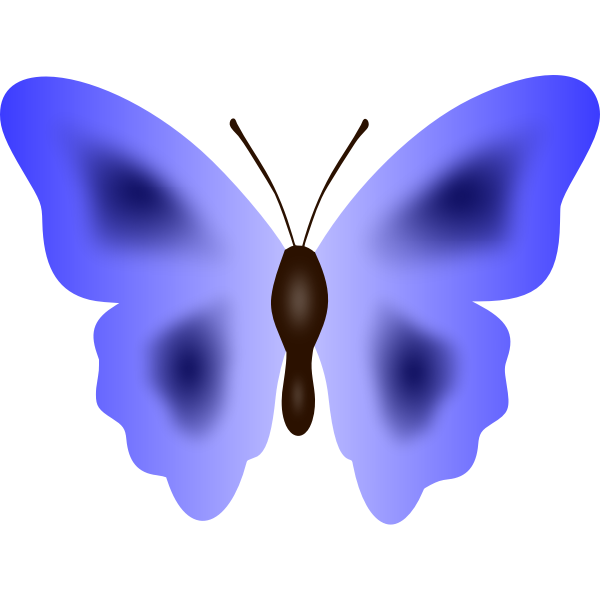 Butterfly33